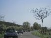 img_10.jpg